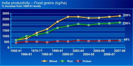 productivity food grains